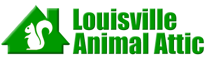 Louisville Animal Attic